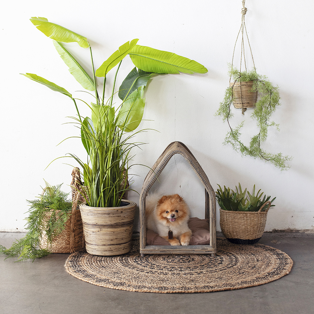 Hondenmand Rotan - Naturel - Huisvorm - Dierenmand Miki Groot - Het Mandenhuys